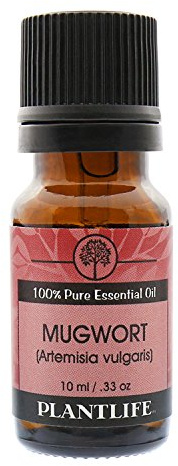 Plantlife Mugwort Aromatherapy Essential Oil - Straight from The Plant 100% Pure Therapeutic Grade - No Additives or Fillers - 10 ml