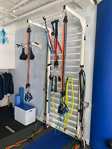 ARTIMEX Espalier en Acier pour Gymnastique et Fitness - Utilisées dans Les Maisons, Les gymnases ou Les centres de Fitness, réf. 231-Gladiateur-90 (Espalier en métal, 17 Barres, 230 x 100 cm)