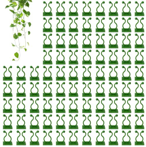 Pothos Lot de 100 clips muraux pour – Crochets de fixation adhésifs sécurisés pour de tomates, vigne,