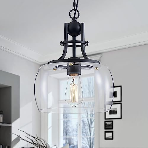 WUZUPS Lustre Rustique Ferme Industrielle Rond Plafond Suspendu LED Luminaire avec Abat-jour en Verre Transparent pour Salle à Manger Îlot Cuisine Entrée De Foyer, H 33 W25, E27 Base, Noir
