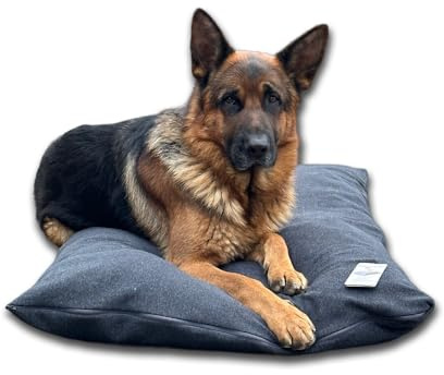 Dorian Home - Cuccia Cane Interno Taglia Grande, Media e Piccola - Cuscino Cane e Gatto Sfoderabile e Lavabile, Extra Imbottito e Morbido - Cuscino per Cani e Gatti Antimacchia Resistente ai Graffi