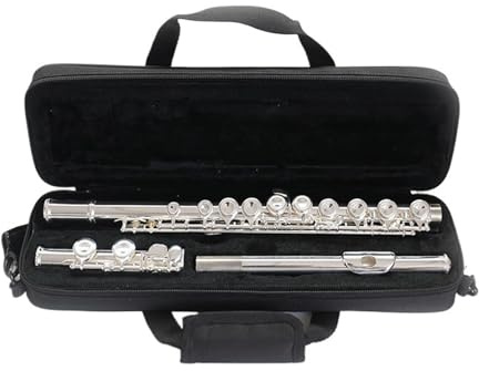 tvärflöjt instrument Flöjt 16-håls proffsflöjt