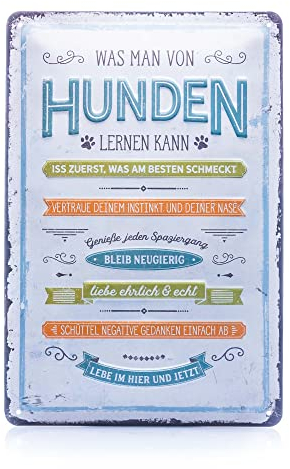 Nostalgic-Art Retro Blechschild, 20 x 30 cm, PfotenSchild – Was man von Hunden lernen kann – Geschenk-Idee für Hunde-Besitzer, aus Metall, Vintage Design mit Spruch, Blechschilder Sprüche