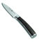Schulte-Ufer Gemüsemesser Riku, 9 cm
