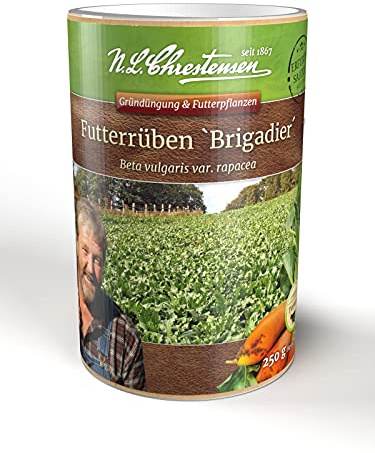 Runkelrübe Brigadier orange 250g ertragreiche orangefarbene Futterrübe