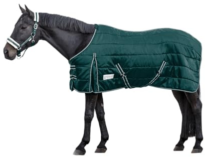 WALDHAUSEN Economic - Manta de establo (200 g, 135 cm), color verde