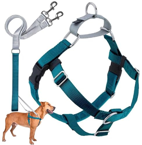 2 Hounds Design Freedom No Pull Dog Harness, Adjustable Harness and Leash Set, Easy Walking & Comfortable Control, Fits Small, Medium & Large Dogs, Solid Colors, Made in USA, 1 MD, Teal