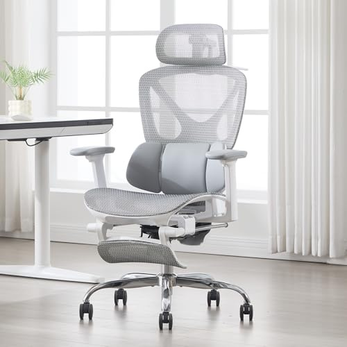 DAYALANE Sedia Ufficio, Sedia Scrivania Ergonomica, Poltrona Girevole con Supporto Lombare, Sedie Computer con Braccioli e Poggiatesta, Sedia Regolabile PC, Grigio