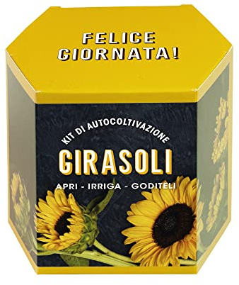 Resetea | Kit di autocoltivazione | Girasoli | Felice giornata!