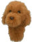 Goldendoodle Golf Headcover