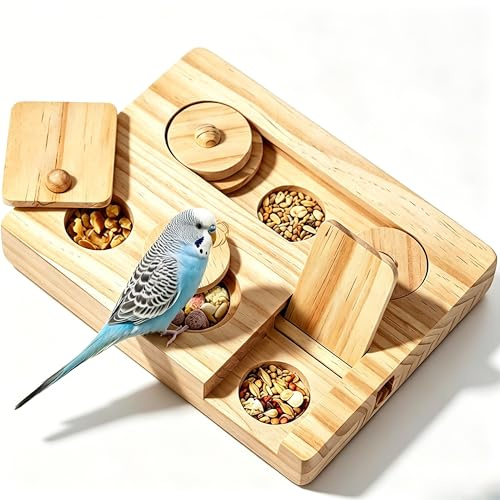 Nourriture pour oiseaux, puzzles, jouets pour rongeurs, avec fonction d'apprentissage, idéal pour l'entraînement et le rongement, convient aux hamsters, oiseaux et autres petits animaux