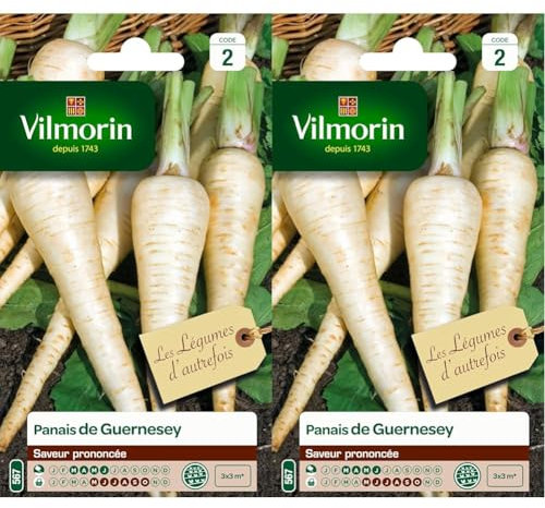 Vilmorin 3771242 Pack de Graines Panais de Guernesey (Lot de 2)