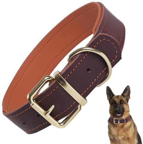 Genuine Padded Leather Collar – Adjustable for Large Dogs（Brown M）