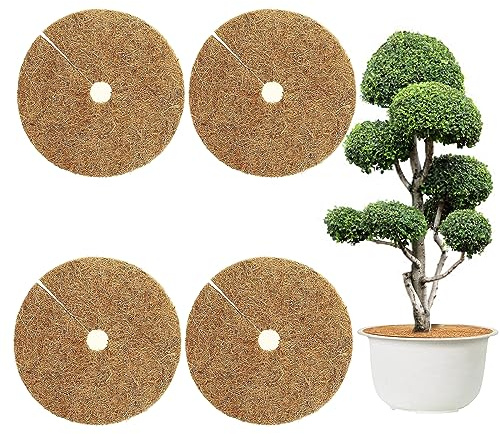 4 Pezzi 60cm Disco Cocco, Cocco per Protezione Piante, Piante Disco Cocco, Pacciamatura Cocco, Protezione Invernale per Piante, Tappetino per Protezione delle Piante per Giardino di Casa Hotel