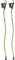 KOMPERDELL Nordic Walking-Stock grün 110