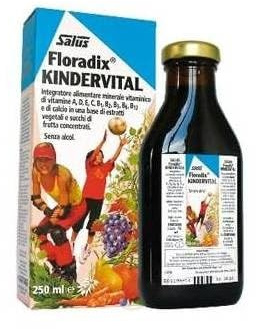 Floradix Kindervital Formula For Childr 250ml X 2 (Pack of 2)