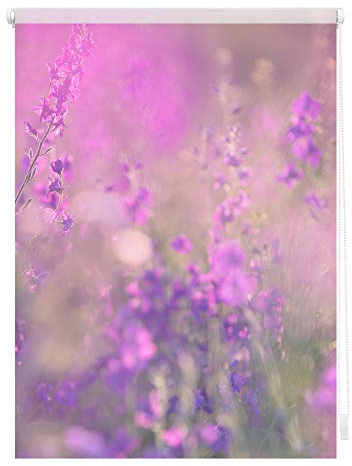 Lichtblick Klemmfix Tageslicht-Rollo mit Motiv, ohne Bohren, Blickdicht, Seitenzugrollo, Made in Germany, Blumenwiese - Fuchsia Violett 90 x 150 cm (B x L)