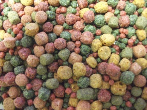 SAHAWA 46115 Koifutter 3-6 mm 5 Sorten Spezialmischung 15 Liter Beutel, Teichfutter, Fischfutter,Gartenteich (15 Liter Beutel)