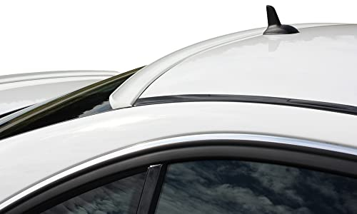RDX Racedesign RDHL487 Hecklippe, Anzahl 1