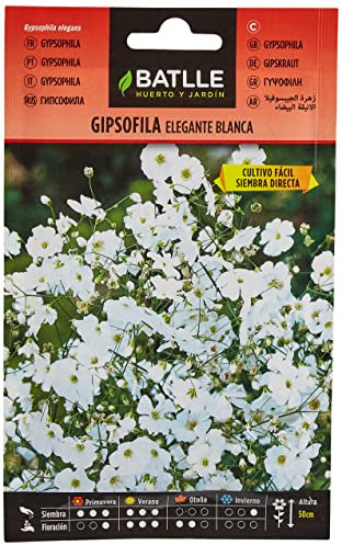 Semillas Batlle Gipsofila Elegante BLANCA