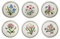 Portmeirion Botanic Garden Scodella Pasta, Vari Motivi