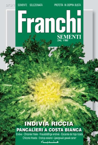 Franchi Endive Cuor D'oro Pancalieri