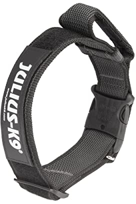 JULIUS-K9, 100HA-K-15-P Color & Grau K9-Halsband mit Haltegriff, Sicherheitsverschluss und Logo, 40 mm*38-53 cm, verstellbar, schwarz-grau,