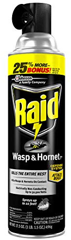 Raid Wasp and Hornet Killer, 17.5 OZ (Pack - 1)