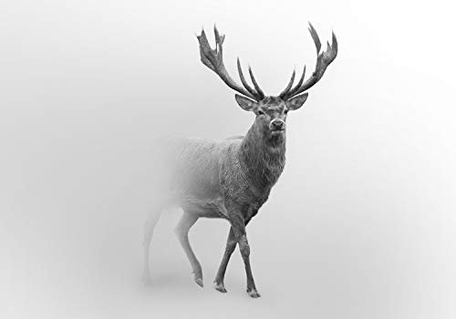 wandmotiv24 Fototapete Hirsch im Nebel, 200 x 140cm - selbstklebende Vliestapete 150g, Wanddeko, Wandbild, Wandtapete, Tier Grau M5910