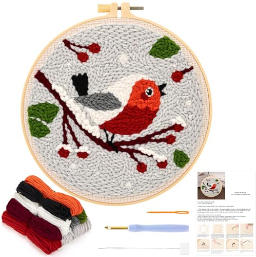 JSRQT Punch Needle Kit per Principianti, Ricamo Sarter Kit Aghi Punzonaturacon con Motivo Uccello per Bambini Adulti, Set di Punto Croce Punch Needle con Strumento, per Decorazioni Casa