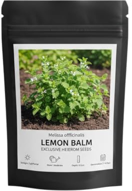 Melissa Officinalis Semillas de Melisa Natural para Siembra en Casa DECOALIVE