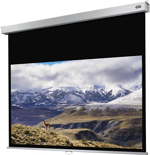celexon Professional Plus Rollo-Leinwand 75 | 160x100 cm 16:10 | manuell ausziehbare 4K, Full-HD Beamer-Leinwand für Büro-Präsentationen & Heimkino-Projektionen | Wand- & Deckenmontage