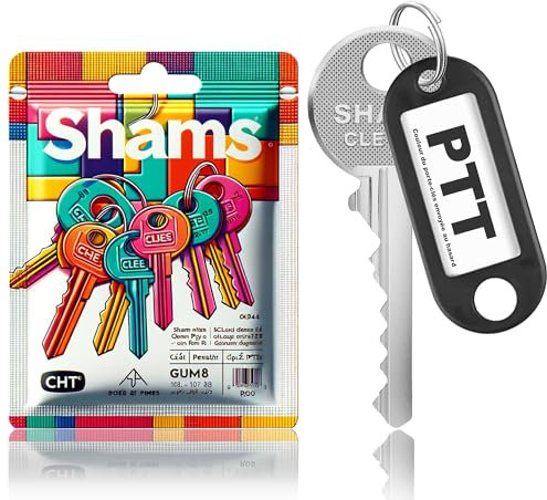 CLÉ PASSE PTT T10 UNIVERSELLE - ACCESSOIRE INDISPENSABLE POUR FACTEURS ET LIVREURS - COMPATIBLE AVEC BOÎTES AUX LETTRES ET PORTES D'IMMEUBLES