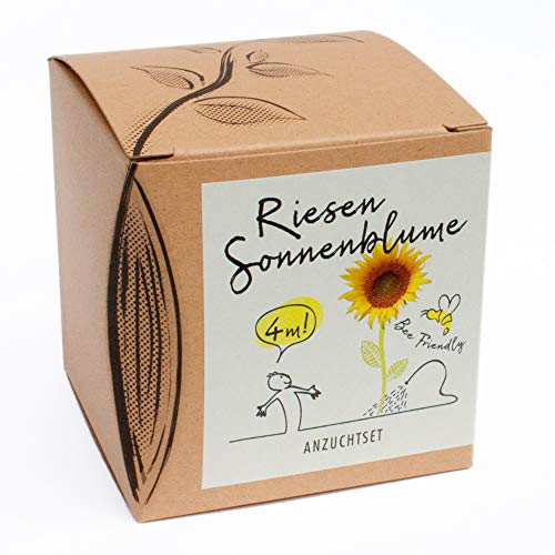 Coffret de culture de tournesol géant