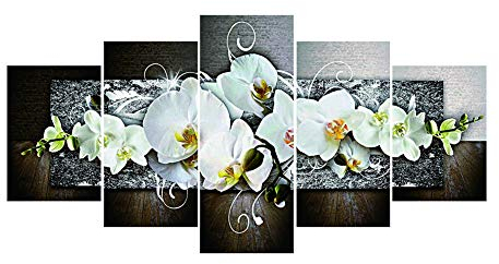 Broadroot 5D DIY Bohren Voll Diamant Malerei Motte Orchidee Kreuzstich Stickerei 5-Bilder Kombination Kit Handwerk Hand Home Decor Geschenk (01)