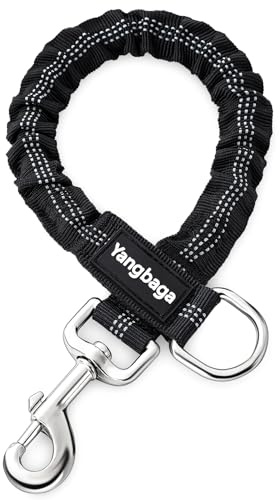 Yangbaga Laisse Antichoc pour Chien Laisse Extensible Élastique en Nylon idéal pour Marche, Courir pour Chien Petit à Moyen (Noir, XL)