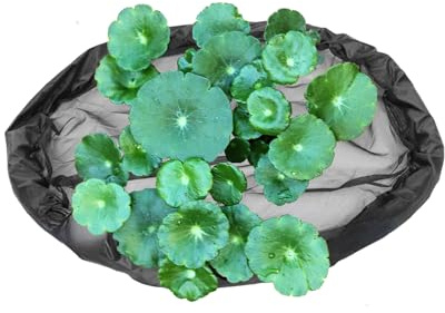 Barriera galleggiante per piante, isola galleggiante per piante, rete rotonda per laghetto come per acquario all'aperto serra giardino