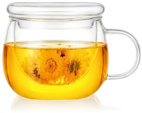AOOTE Tazza In Vetro Borosilicato Filtro, Bicchiere da Tè Tutto In Uno da 400 ml, Tazze Da The In Vetro con Infusore e Coperchio Rotondo di Vetro, Regali Di Natale per le Donne, Mamma, Papà, Nonni