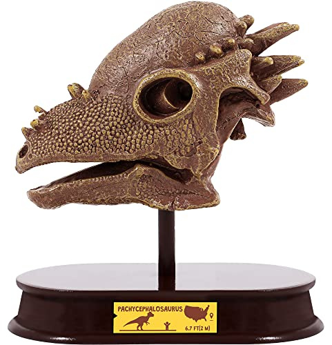 ArtCreativity Dinosaur Excavation Kit for Kids, 5.5” Pachycephalosaurs Skull Excavating Set with Fossil Digging Tools and Stand, Fun Science Activity Toy, Educational Dinosaur Gift for Boys and Girls