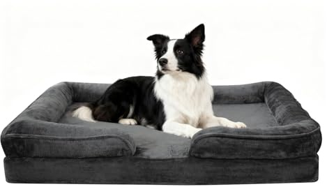 VoltaEcho Panier Chien 0rthopédique Moyen Taille: Lit Chien Dehoussable Et Lavables - Housse de Flanelle Amovible - Doublure Imperméable et - Fond Antidérapant (Gris foncé 90 x 70 x 18 cm)