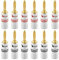 Nakamichi 24K vergoldeter Bananenstecker 12 AWG - 18 AWG Gauge Größe 4mm für Lautsprecher Verstärker Hi-Fi AV Receiver Stereo Heimkino Audiokabel Stecker schraubbar 12 Stück (6-Paare)