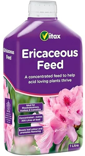 AMK® Vitax Ericaceous Feed 1L Acid Loving Rhododendrons Azaleas Camellias Plants Food Fertiliser Bigger Blooms Brighter Flowering Garden Gardening
