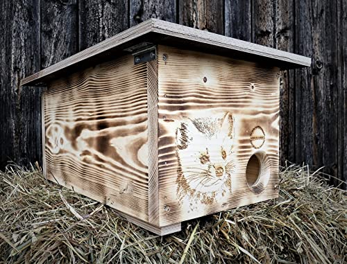 Wiesel oder Hermelin Nistkasten Natur, Unterschlupf, Mauswiesel