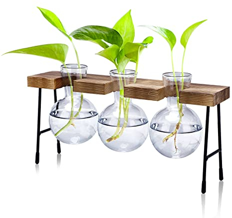 icyant Blumenvase, 3 Pcs Glühbirne Glas Kleine Vasen Modern hydroponische Vasen Mit Holzregal Schreibtisch Pflanzer Mini Deko Vasen Für Wohnzimmer Outdoor Taufe Geburtstag Hydroponik Deko