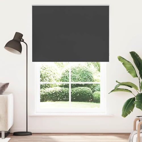 vidaXL Verdunkelungsrollo Schwarz 160x210 cm Stoffbreite 156,6 cm, Rollo, Klemmfix, Thermorollo, Verdunklungsrollo, Klemmrollo, Fensterrollo