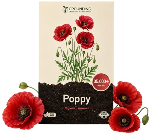 Grounding - Flanders Red Poppy Seeds (Papaver rhoeas), 35,000+ seeds - Bright red flower carpet for wildflower meadows & natural beds, height 50–60 cm - European Quality