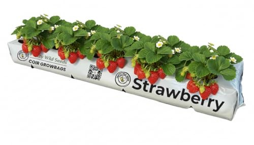Pretty Wild Seeds 4 x Strawberry Cocopeat Growbags | Natural Peat-Free Growing Medium/Potting Soil Natural Peat-Free Growing Medium ORGANIC