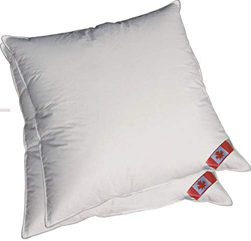 Spar Angebot 2 Classic Canada Daunenkissen 80x80 cm 85% Federn 15% Daunen Noblesse 900 g