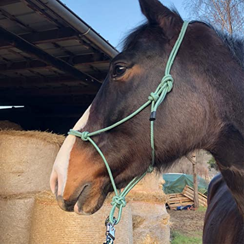 Knot Halter for Floorwork Horse - Knot Halter Cob Ideal for Outdoor Work, Ground Work, Lead or Loading Training (Cob), Green-White)