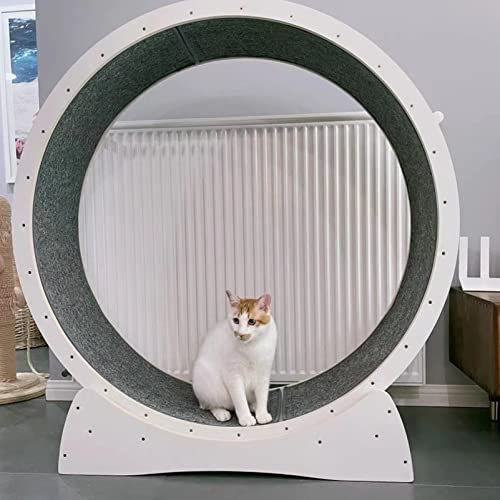 ExoticaBlend Katzenlaufrad Großes Laufrad für Katzen – Katzenrad aus Massivholz für Drinnen Katzen, Sicherheits Katzen Laufrad mit Schloss und Minimiertem Spaltdesign,White-XL